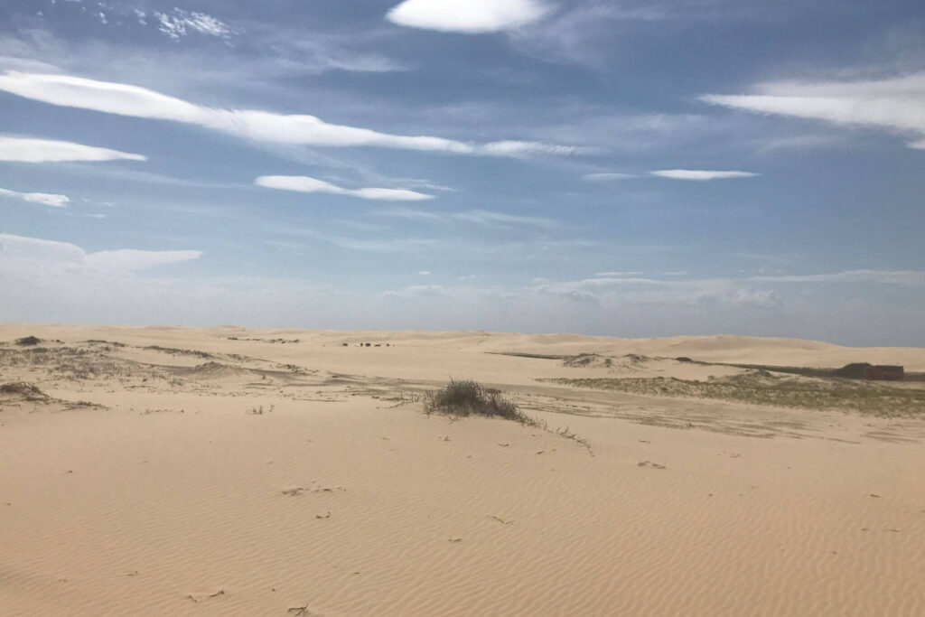 desertnelson-2